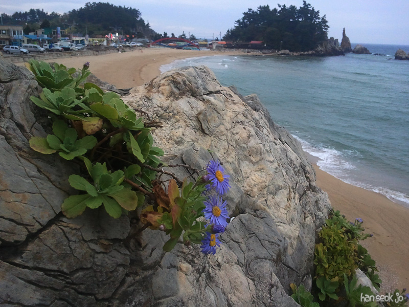2010-10-02 14.04.25.jpg